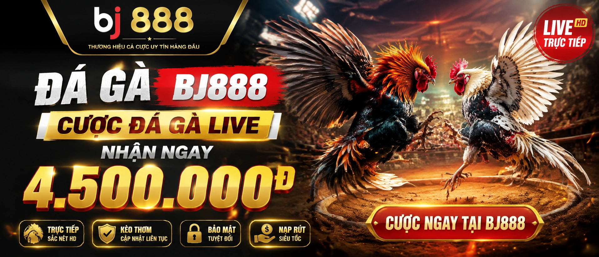 Phòng live Đá Gà bj888 2