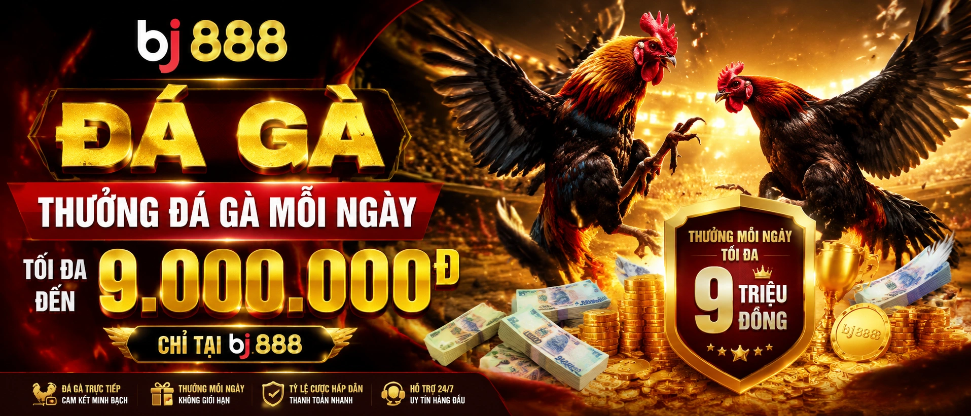 Phòng live Đá Gà bj888 3